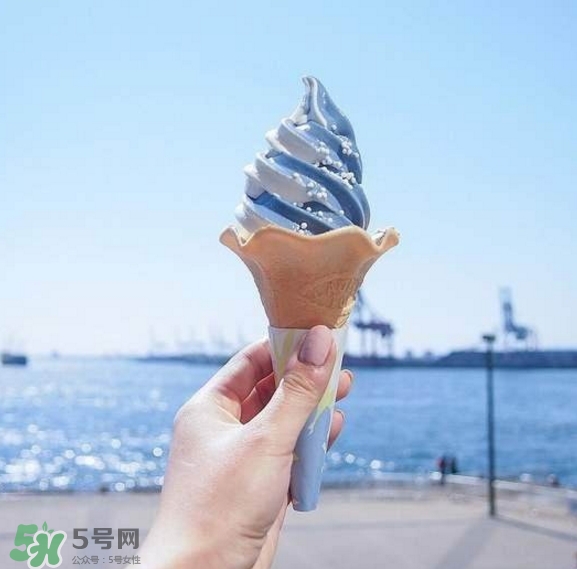 鯨鯊冰淇淋好吃嗎？鯨鯊冰淇淋多少錢？