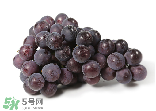 巨峰和夏黑哪個好吃？哪個貴？有什么區(qū)別？