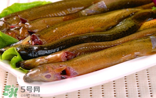 鰻魚是泥鰍嗎？鰻魚與泥鰍什么區(qū)別