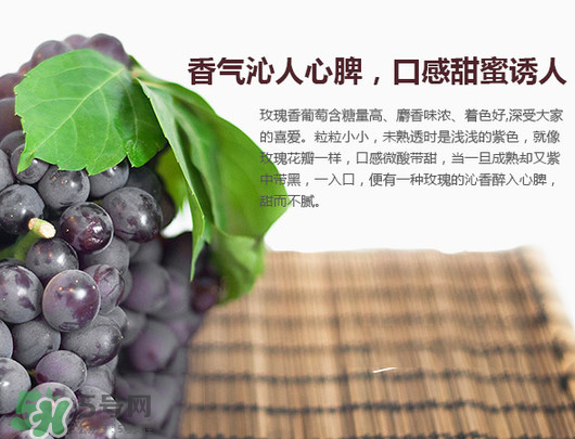 玫瑰香葡萄孕婦能吃嗎？孕婦可以吃玫瑰香葡萄嗎？