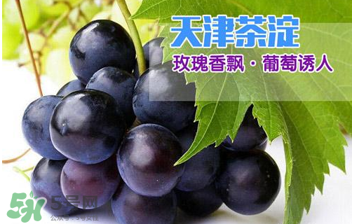 玫瑰香葡萄多少錢一斤？玫瑰香葡萄多少錢一斤2017？