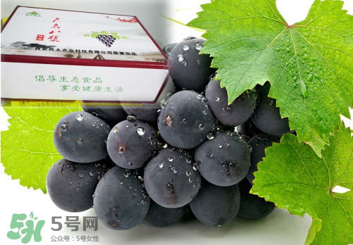 戶太八號(hào)葡萄什么時(shí)候套袋？戶太八號(hào)葡萄什么月份套袋？