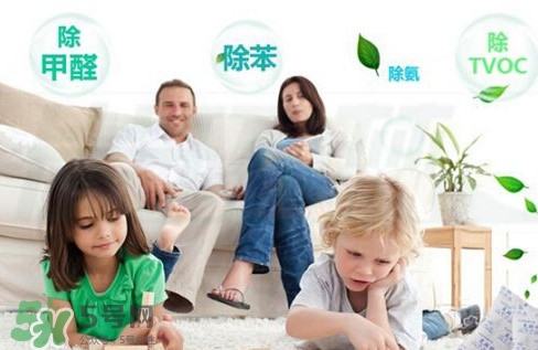 甲醛0.3可以入住嗎？空氣凈化器能除甲醛嗎