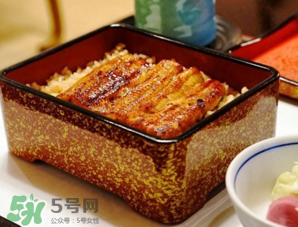 鰻魚飯熱量高嗎？鰻魚飯的熱量有多高
