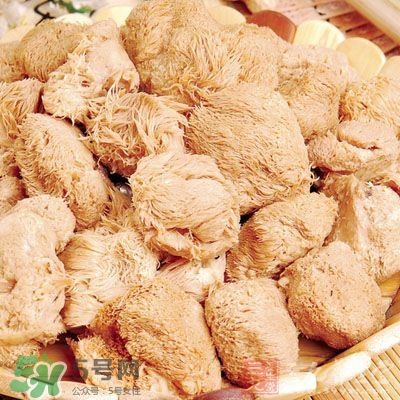 猴頭菇怎樣吃治胃??？猴頭菇能治胃病嗎？