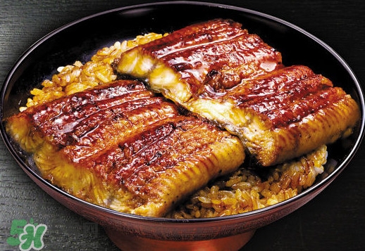 鰻魚飯熱量高嗎？鰻魚飯的熱量有多高