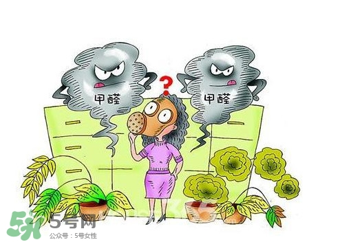 甲醛怎么治理？除甲醛最有效方法