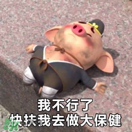 豬小屁表情包是什么？豬小屁表情包為什么這么火？