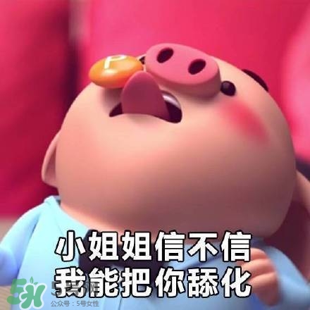豬小屁表情包是什么？豬小屁表情包為什么這么火？