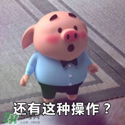 豬小屁表情包是什么？豬小屁表情包為什么這么火？