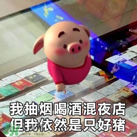 豬小屁表情包是什么？豬小屁表情包為什么這么火？