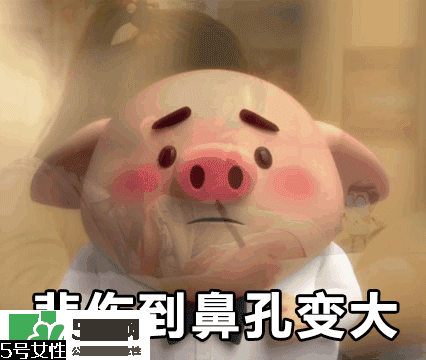 豬小屁多少錢一個？豬小屁哪里可以買到