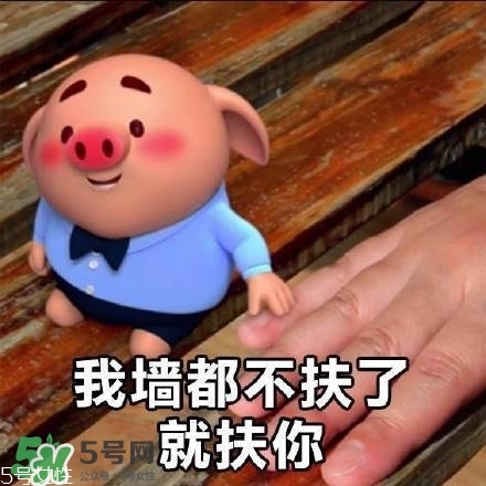 豬小屁多少錢一個？豬小屁哪里可以買到