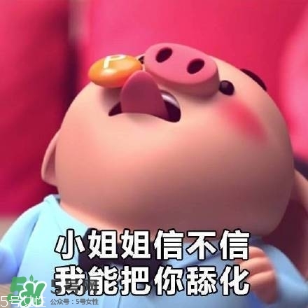 豬小屁多少錢一個？豬小屁哪里可以買到