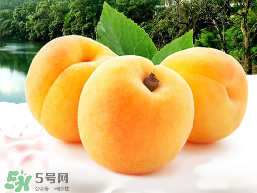 黃桃是酸性還是堿性？黃桃罐頭是酸性還是堿性？