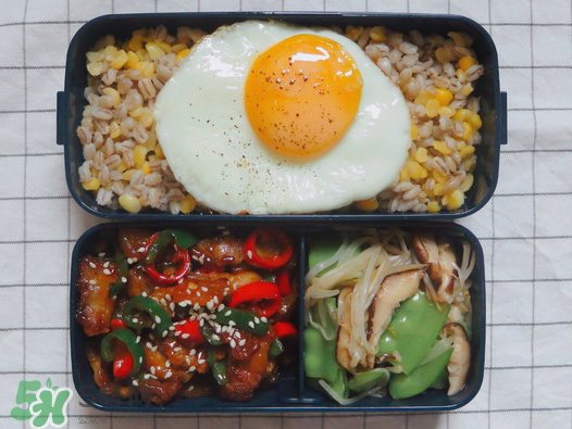 夏天用保溫盒帶飯會(huì)壞嗎？夏天能用保溫盒帶飯嗎？