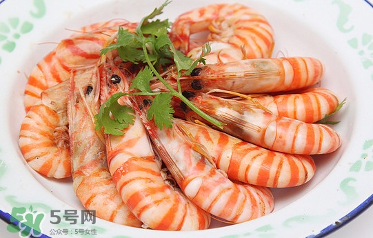 斑節(jié)蝦是九節(jié)蝦嗎？斑節(jié)蝦和九節(jié)蝦的區(qū)別