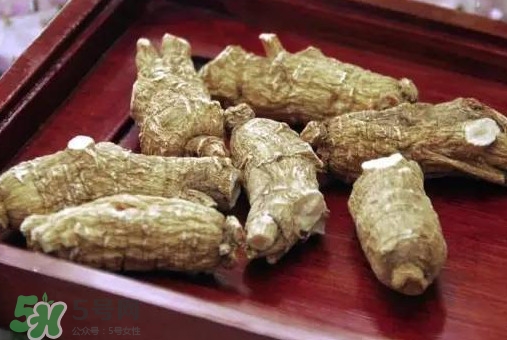西洋參補腎嗎？西洋參適合什么季節(jié)吃