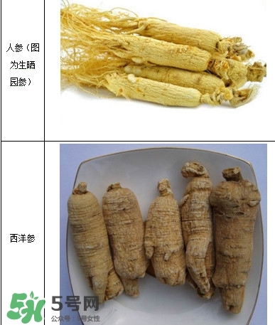 西洋參怎么吃效果最好？西洋參與人參的區(qū)別