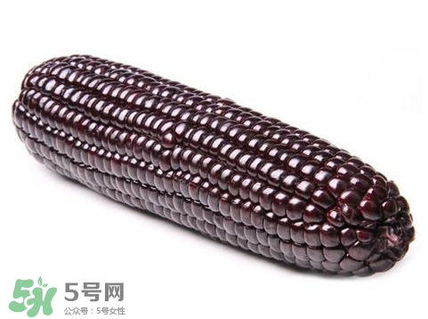 紫玉米會(huì)掉色嗎？紫玉米怎么會(huì)掉色？