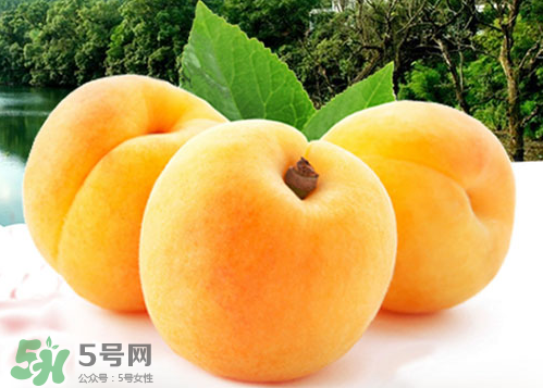 黃桃和水蜜桃哪個好吃？黃桃和水蜜桃的區(qū)別