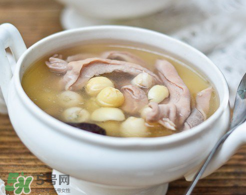 新鮮蓮子可以燉湯嗎？新鮮蓮子怎么煲湯？