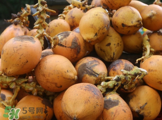 椰子什么時候成熟？椰子什么時候吃最好