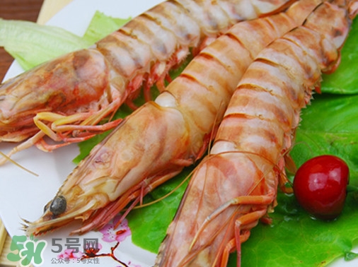 活的斑節(jié)蝦多少錢一斤？野生斑節(jié)蝦多少錢一斤