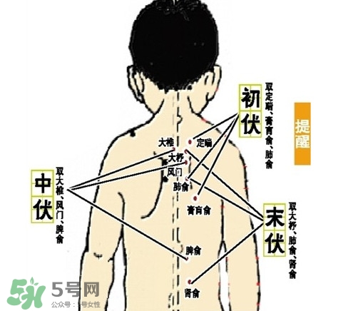 三九灸和三伏灸有什么區(qū)別？做完三伏灸要注意什么？