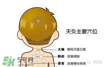 三伏灸灸哪里？三伏灸是每天都灸嗎