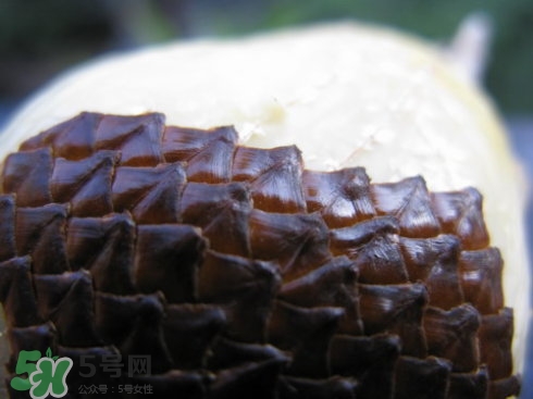 蛇皮果能生吃嗎？蛇皮果能放冰箱嗎？