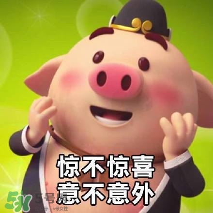 豬小屁表情包是什么？豬小屁表情包為什么這么火？