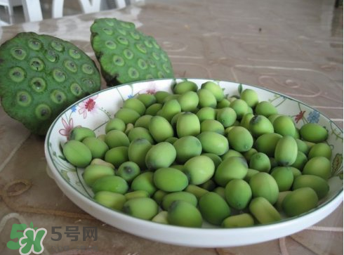 新鮮蓮子多少錢一斤？新鮮蓮子哪里有賣？