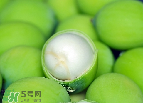 新鮮蓮子多少錢一斤？新鮮蓮子哪里有賣？