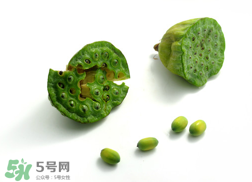 新鮮蓮子可以直接吃嗎？生蓮子可以直接吃嗎？