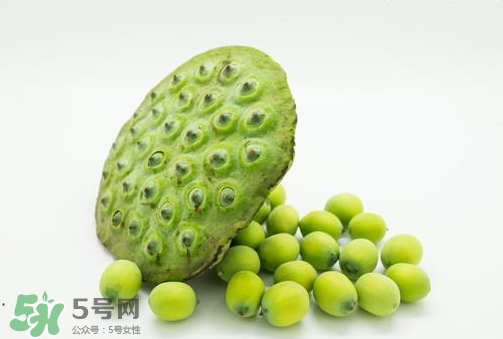 新鮮蓮子可以直接吃嗎？生蓮子可以直接吃嗎？