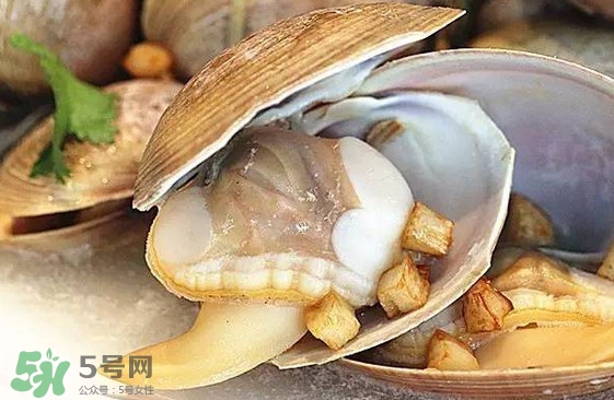 蜆子是蛤蜊嗎？蜆子和文蛤怎樣區(qū)別