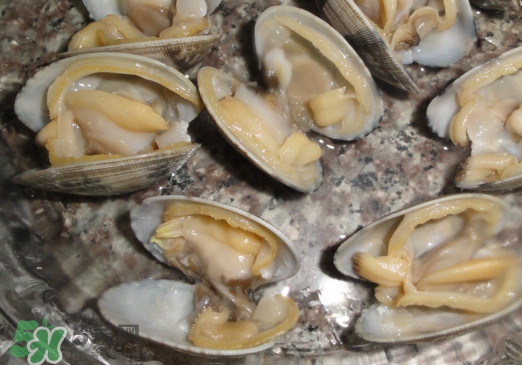 蜆子死了還能吃嗎？蜆子死了多久不能吃