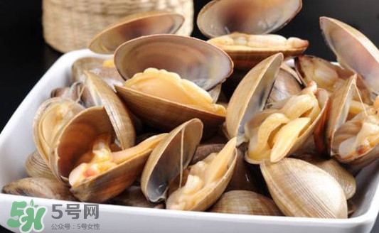 黃蜆子多少錢一斤？河蜆子多少錢一斤