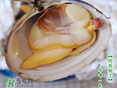 蜆子什么樣的是活的？蜆子開口是死還是活