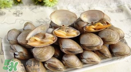 蜆子是寒性的嗎？蜆子什么人不能吃