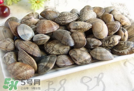 黃蜆子和花蜆子哪個(gè)好？黃蜆子和花蜆子的區(qū)別