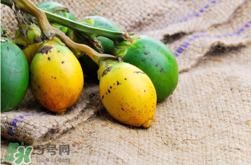 檳榔什么味道？正宗的檳榔是什么味道？