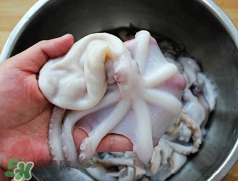 八帶魚怎么洗？八爪魚怎么處理干凈
