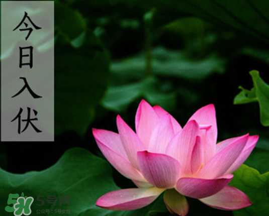 2017年頭伏是幾月幾號(hào)？2017年入伏第一天是幾月幾號(hào)？