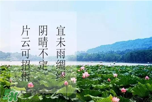 2017年幾月幾號入伏？入伏是幾月幾號2017？
