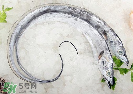 帶魚是深海魚嗎？帶魚是海鮮嗎