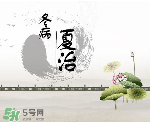 2017年三伏貼什么時候貼？2017年三伏貼貼幾天？