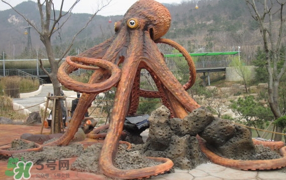 章魚(yú)是烏賊嗎？章魚(yú)與烏賊的區(qū)別