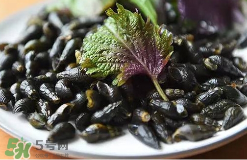 紫蘇是什么植物？紫蘇是發(fā)物嗎？